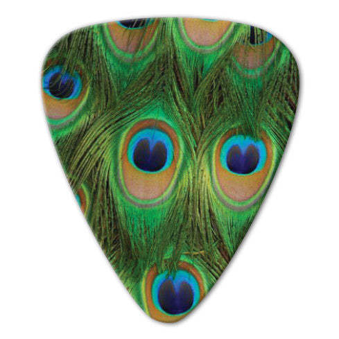 Animal Print Theme - Peacock Picks (10 pack)