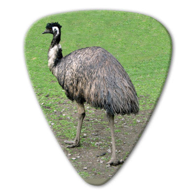 Australian Animals - Emu Picks (10 pack)