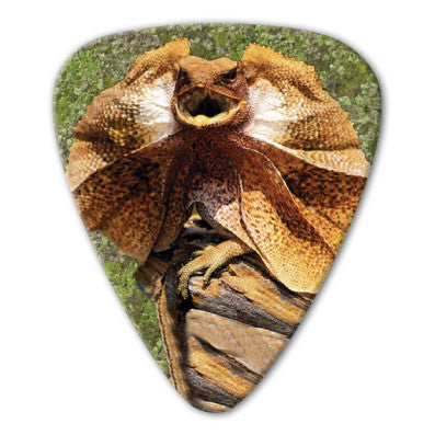 Australian Animals - Frill Neck Lizard Picks (10 pack)