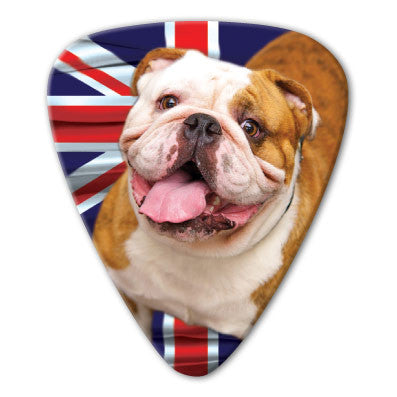 England - English Bulldog Picks (10 pack)