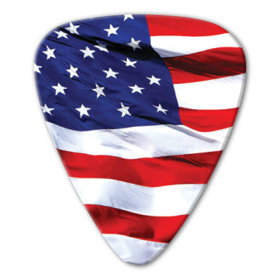 USA - American Photo Flag Picks (10 pack)