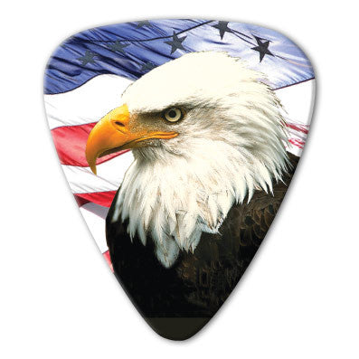 USA - Bald Eagle Picks (10 pack)