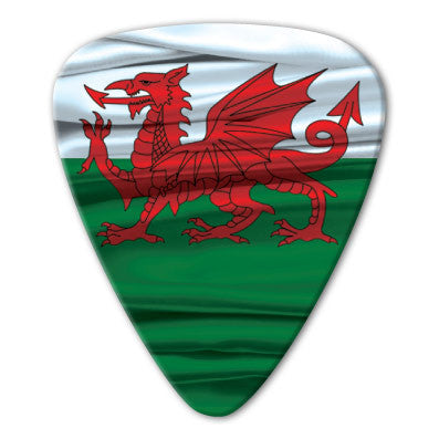 Wales - Welsh Photo Flag Picks (10 pack)