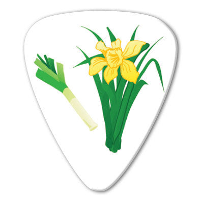 Wales - Daffodils Picks (10 pack)